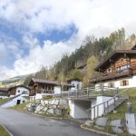 Chalets im Wald