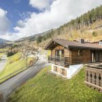 Chalets im Wald