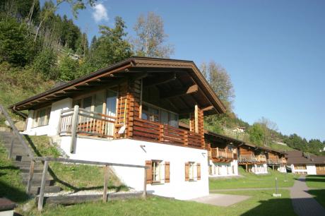 Chalets im Wald