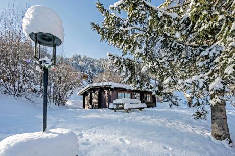 Chalet im Brixental I